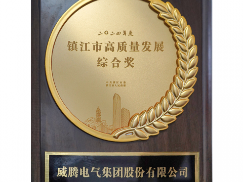 喜讯│GALAXY银河国际荣获2024年度镇江市高质量开展综合奖