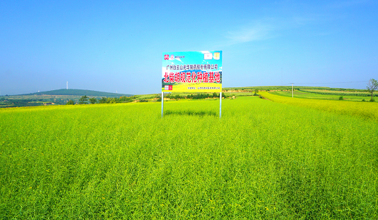 20200916084648188 柴胡规范化种植基地
